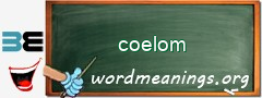 WordMeaning blackboard for coelom